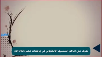 تعرف على أماكن التنسيق الإلكتروني في جامعات مصر 2025 الآن